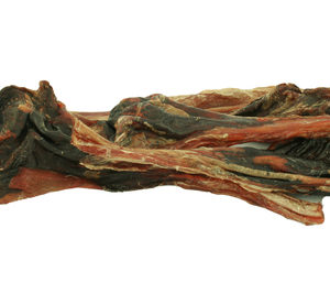 kangarro knee tendon dog chew