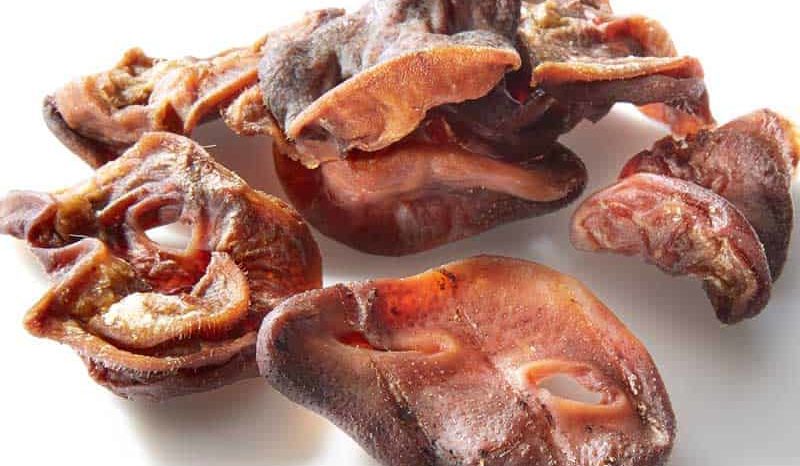 Pig snouts dog treats