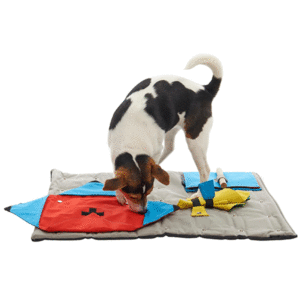 Buster activity snuffle mat for dogs