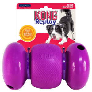 Kong Replay dog toy large