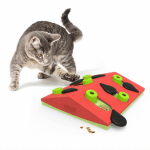 Interactive Toys, Games and Slow Feeders for Cats